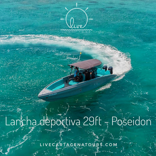 Lancha deportiva 29ft - Poseidon