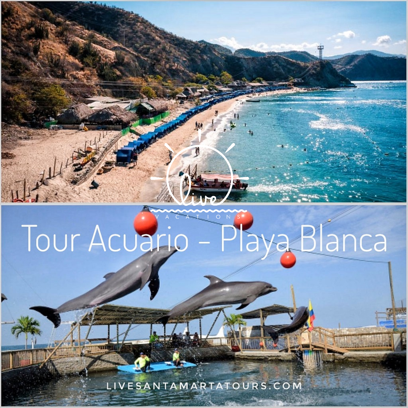 Tour Acuario - Playa Blanca