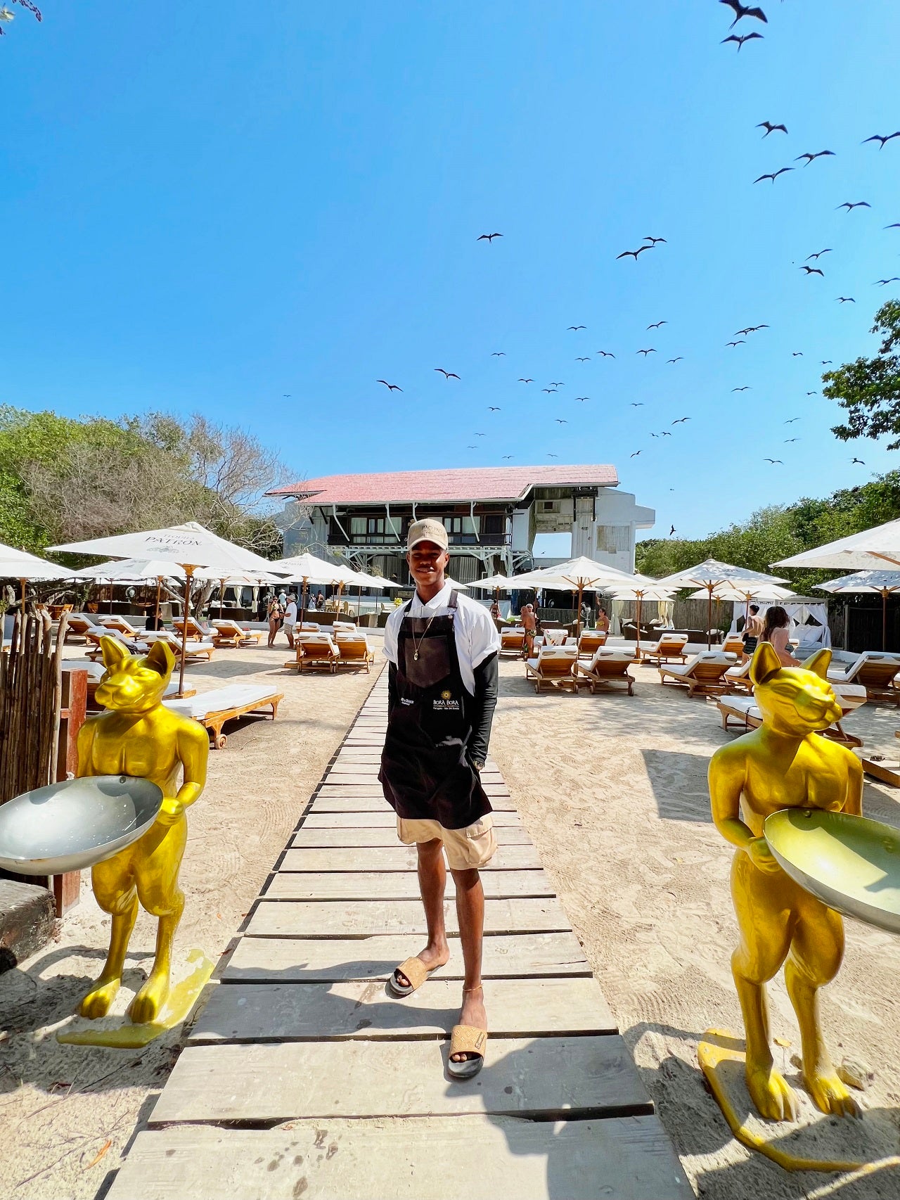 Pao Pao Beach Club - Isla del Rosario | Relax, savor, and unwind in an exclusive, adults-only setting.