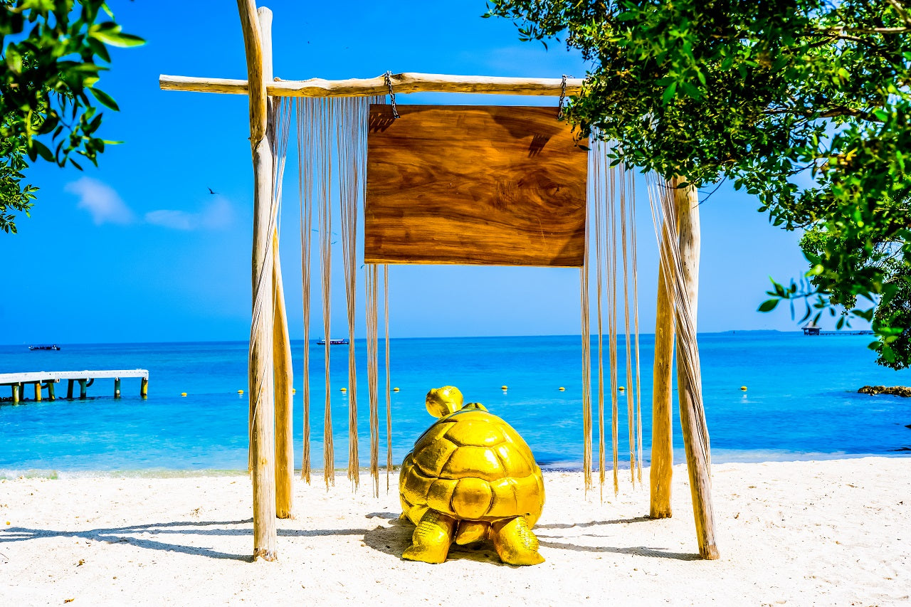 Pao Pao Beach Club - Isla del Rosario | Relax, savor, and unwind in an exclusive, adults-only setting.