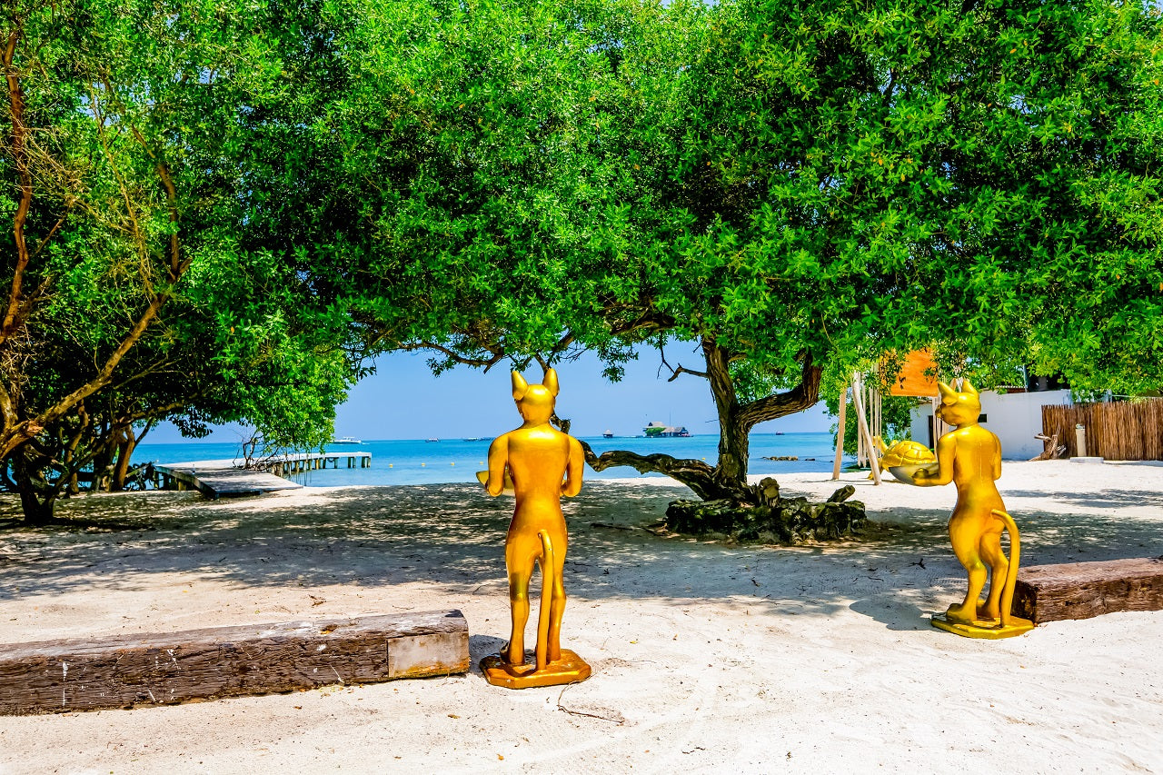 Pao Pao Beach Club - Isla del Rosario | Relax, savor, and unwind in an exclusive, adults-only setting.