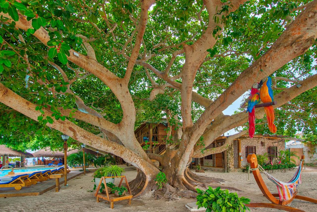 Isla del Encanto - Rosario Island | A tropical paradise to relax, explore, and connect with the sea