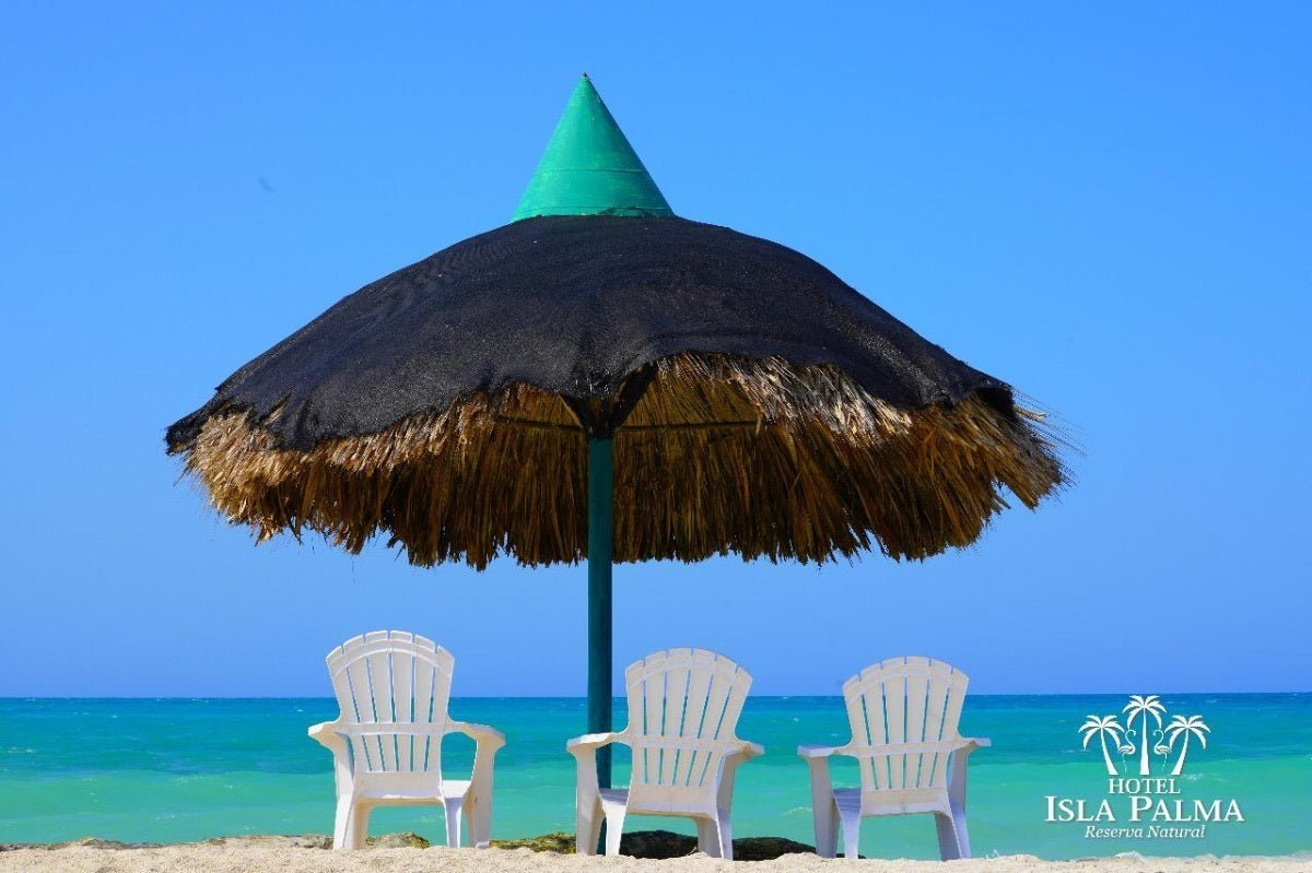Palma Island - Nature Reserve | Experience an unforgettable day on an exclusive island in the Colombian Caribbean.