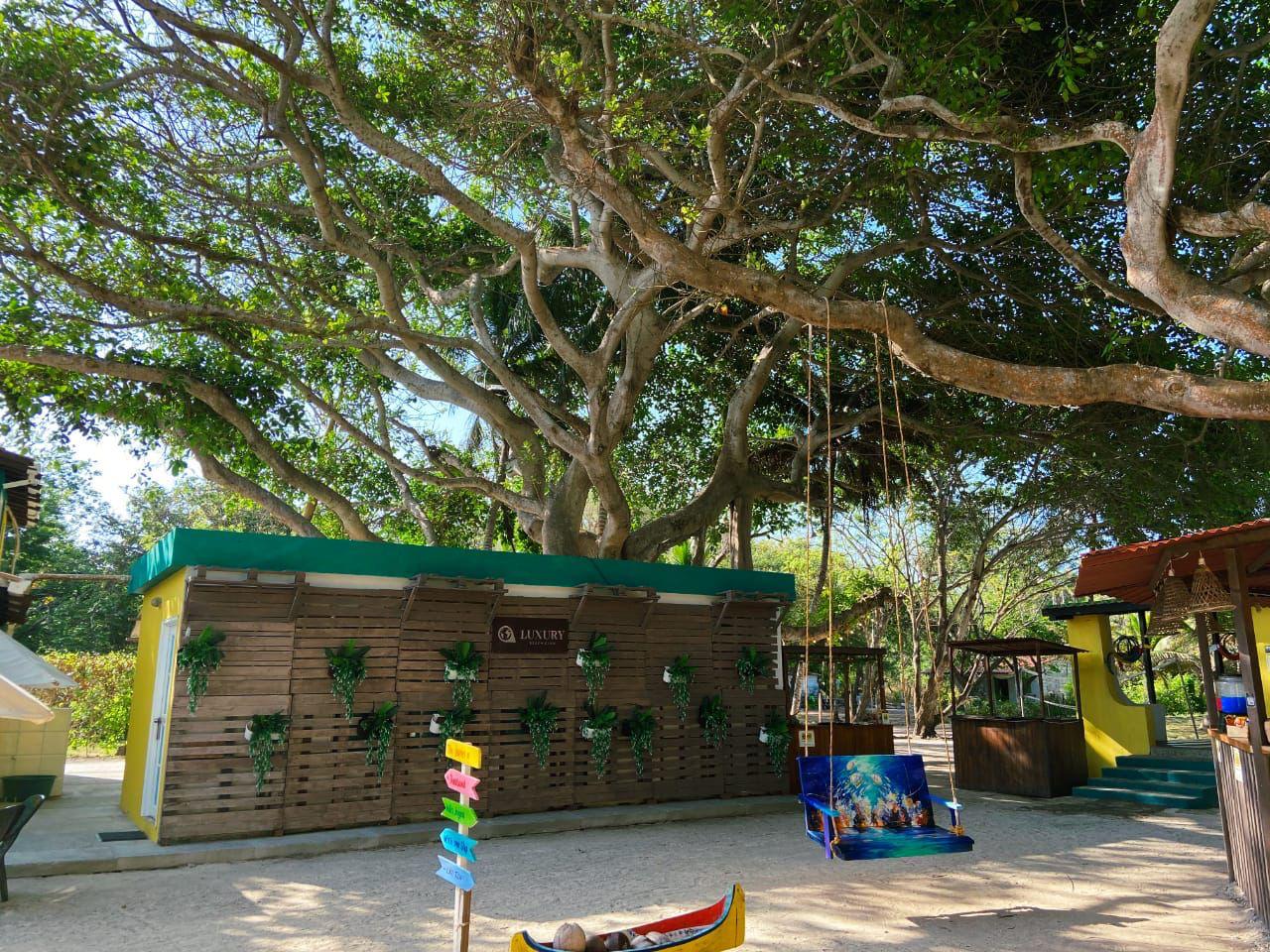 Luxury Beach Club - Arena Beach - Isla del Rosario | Relax in the sun with an open bar, beachfront, and Caribbean flavor in an exclusive setting.