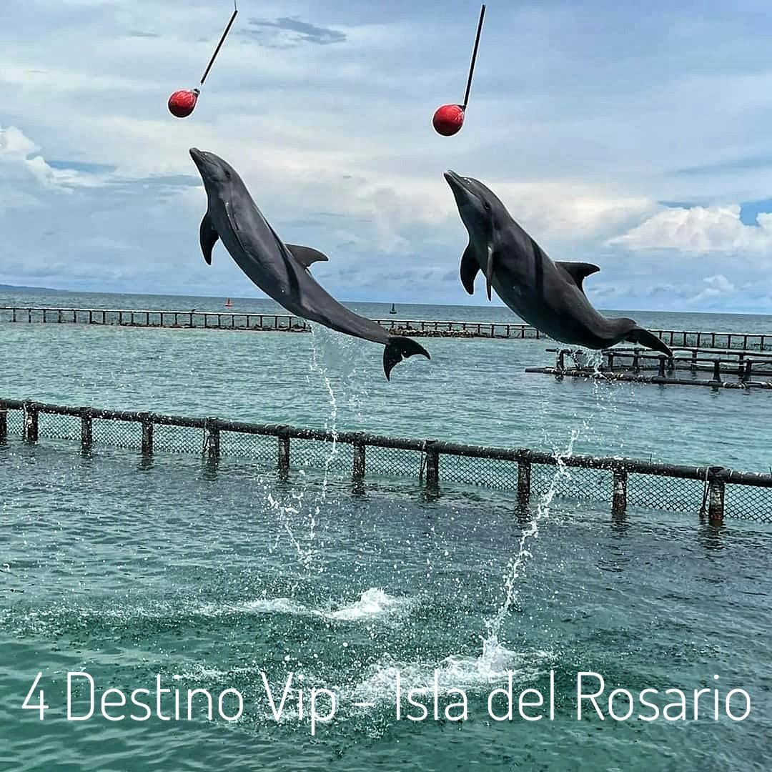 4 VIP Islands - Premium Plankton | Luxury, nature, and adventure in the heart of the Caribbean