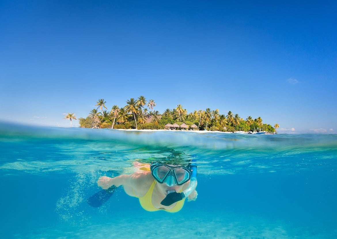 Aventura por las islas del rosario -  Acuario