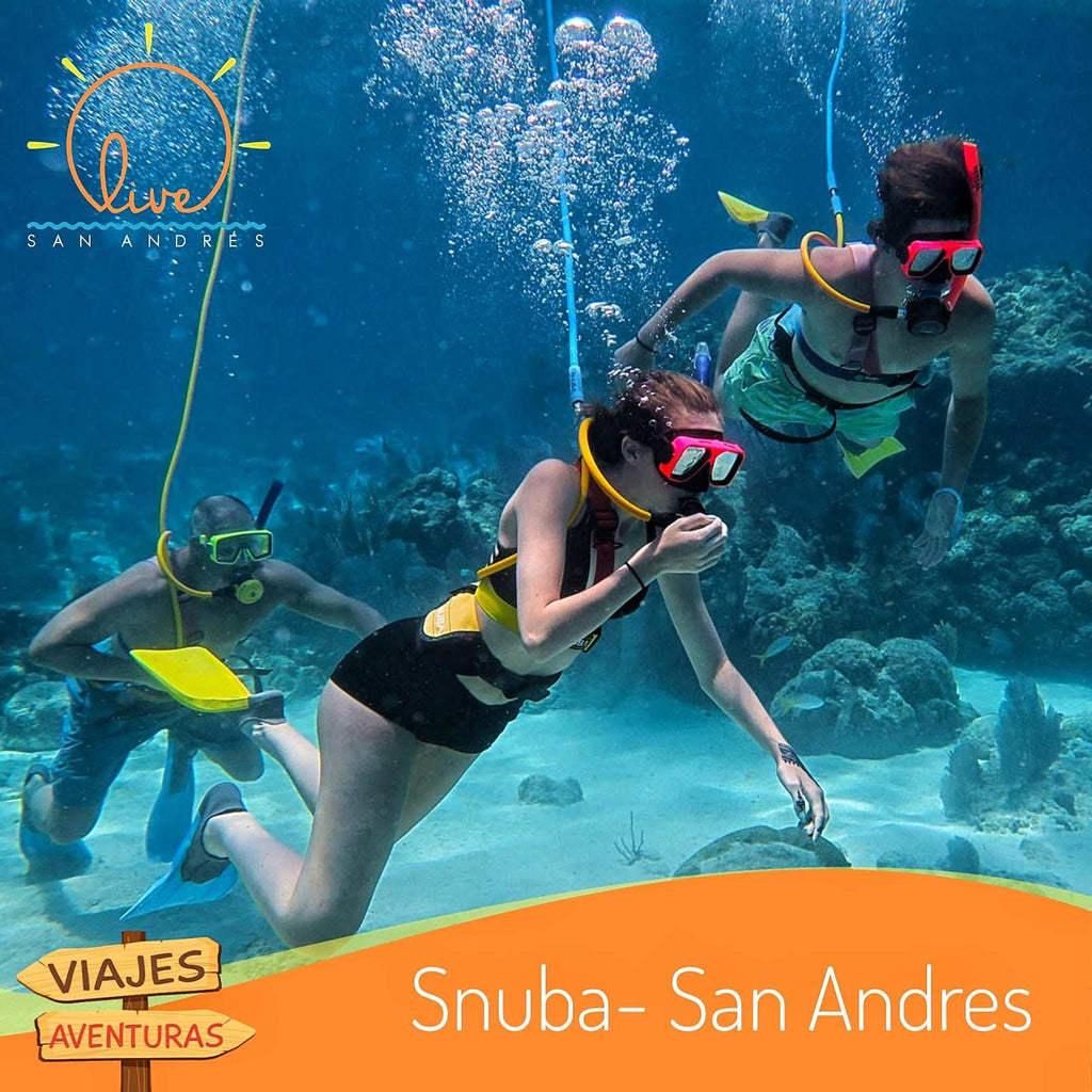 Snuba en San Andrés Isla | Explora el mundo marino sin tanques, sin experiencia y en total seguridad - Live Vacations Tours