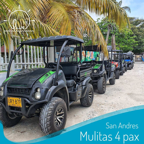 Mulita -San Andres | Aventura sobre ruedas en la isla - Live Vacations Toursapartamentos1apartamentos