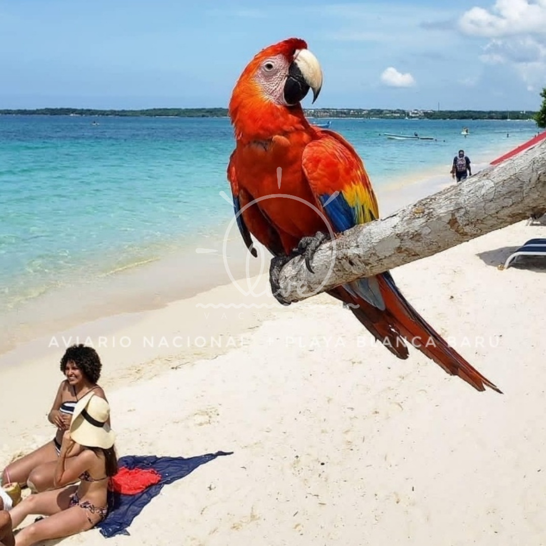 Aviario Nacional + Playa Blanca Baru