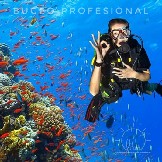 Buceo Profesional - Cartagena