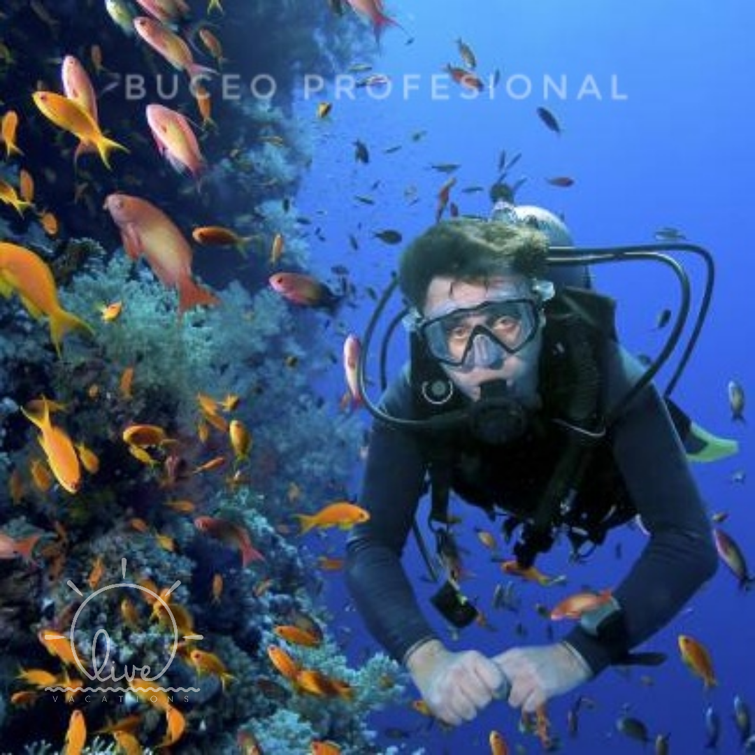 Buceo Profesional – Isla Barú | Sumérgete en las profundidades del Caribe y vive la emoción del buceo