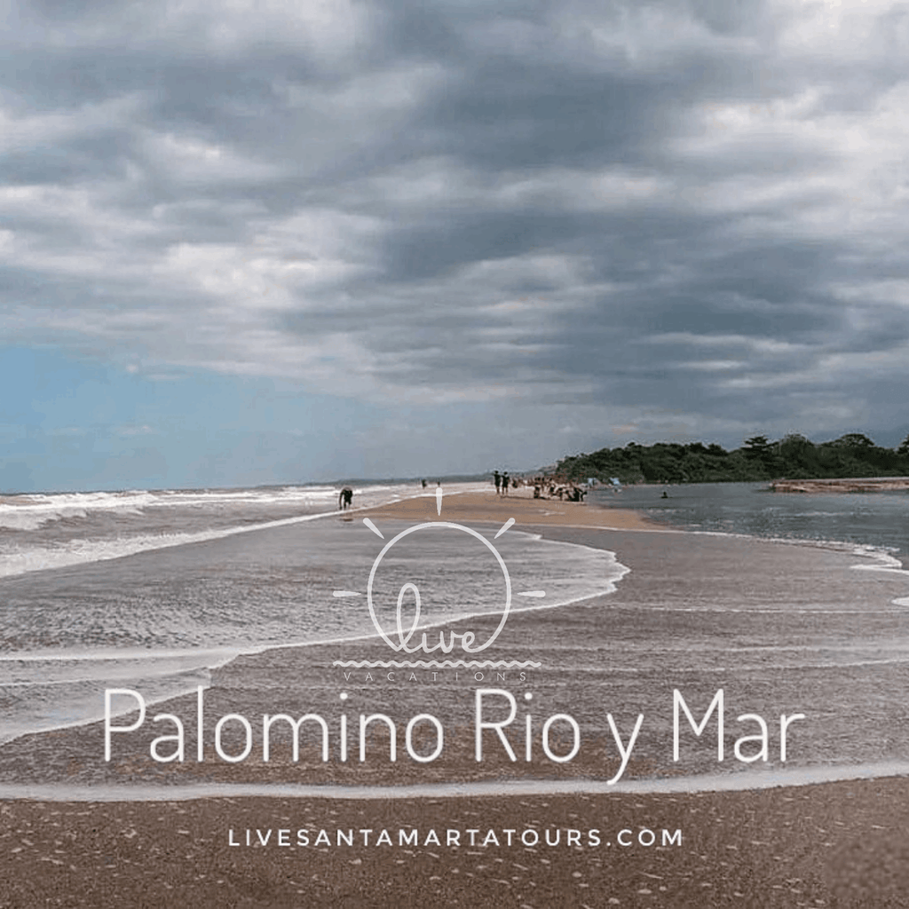 Aventura en Palomino: Río y Mar para una Experiencia Natural Inolvidable en el Caribe - Live Vacations Tours