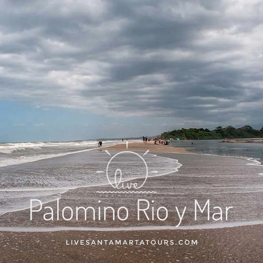 Palomino Rio y Mar