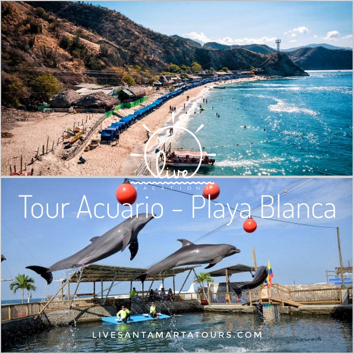 Aquarium Tour - Playa Blanca