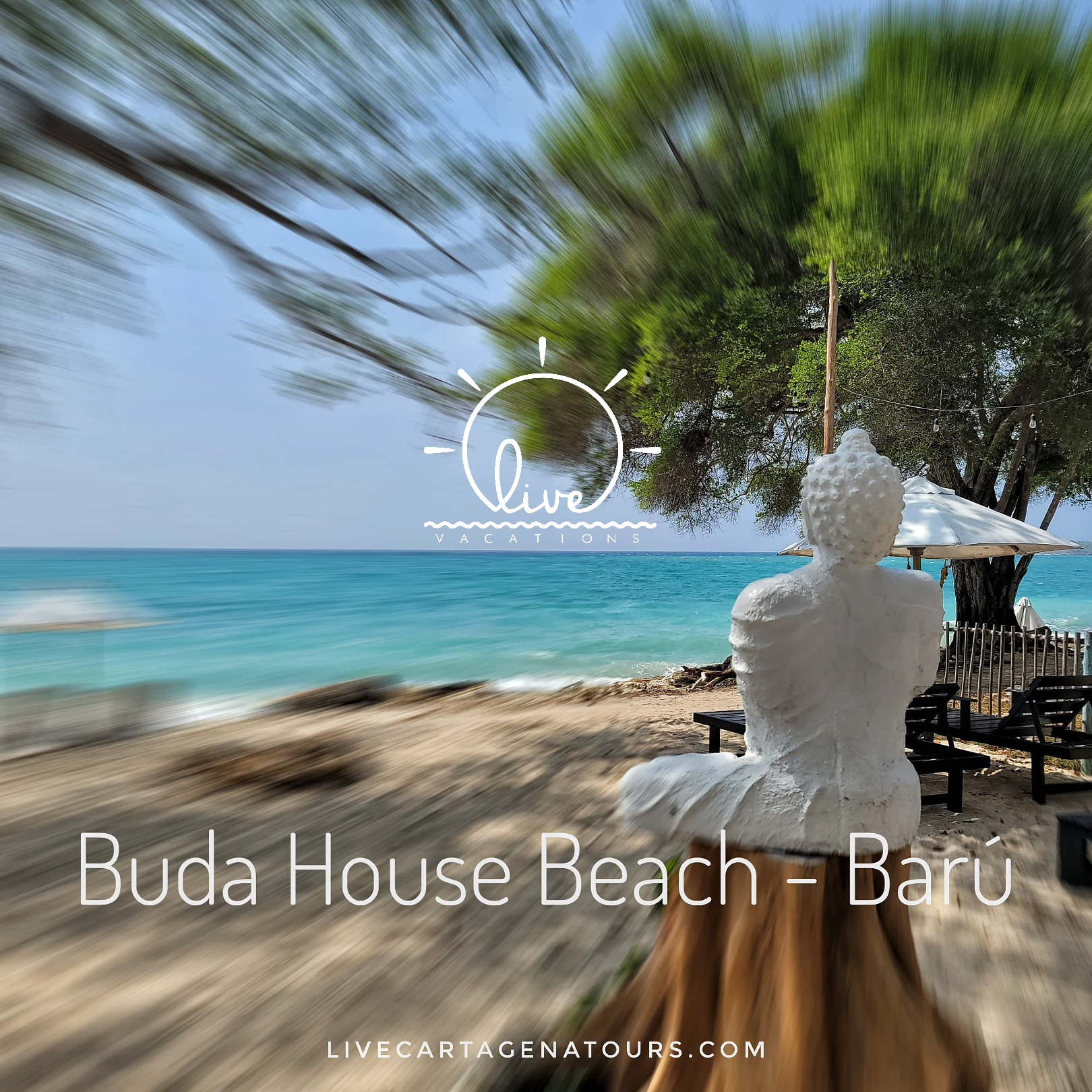 Buda House – Beach Club en Barú | Tu día de sol, sabor y relajación en Playa Puntilla