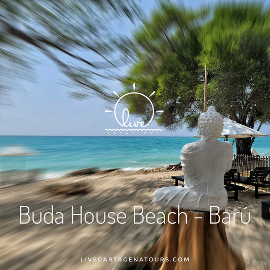 Buda House Beach - Playa Puntilla Barú