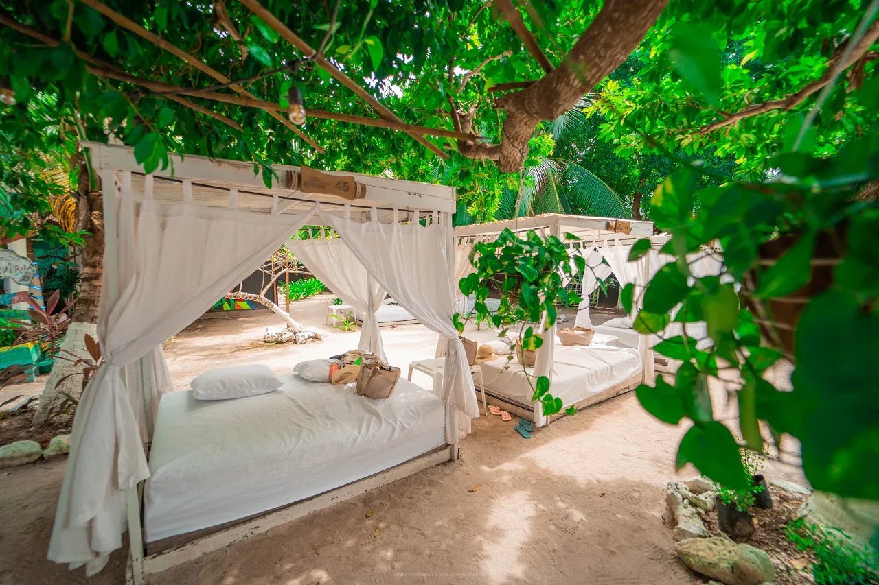 Bora Bora Club – Isla del Rosario | Sol y Fiesta Caribeña - Live Vacations Tours