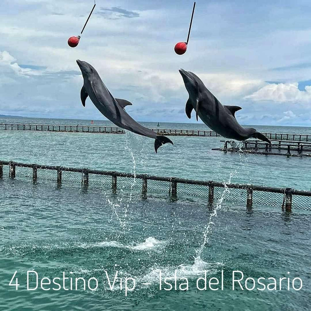 4 Islas vip - premium plancton | Lujo, naturaleza y aventura en el corazón del Caribe - Live Vacations Tours