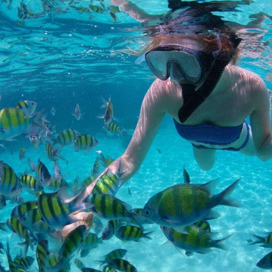 4 Islas vip - premium plancton | Lujo, naturaleza y aventura en el corazón del Caribe - Live Vacations Tours