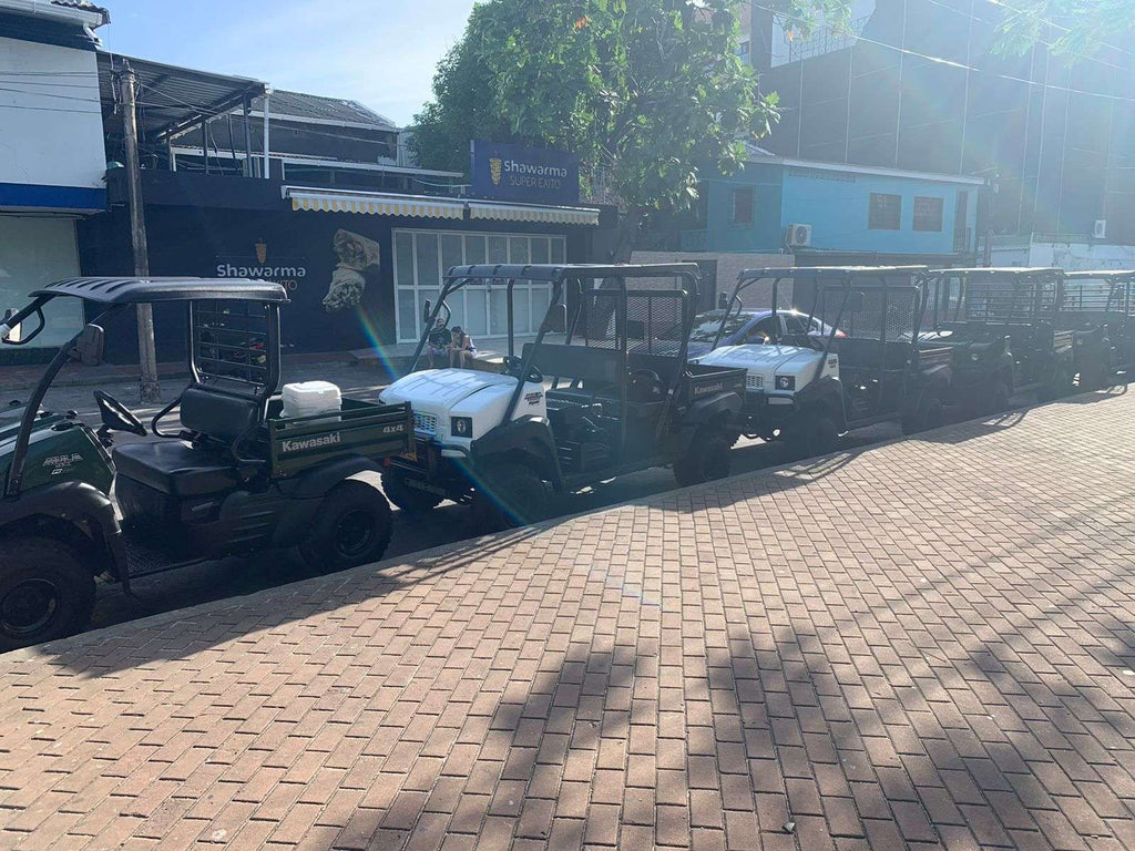 Mulita -San Andres | Aventura sobre ruedas en la isla - Live Vacations Toursapartamentos8apartamentos