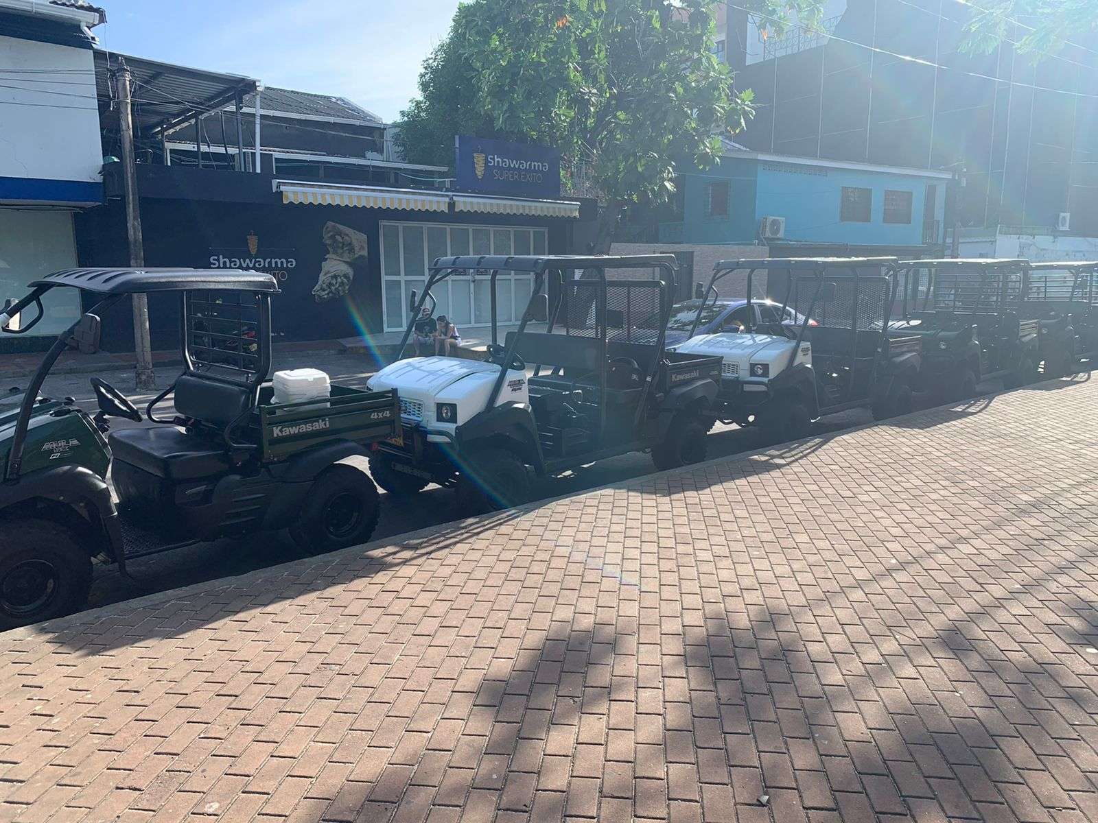 Mulita -San Andres | Aventura sobre ruedas en la isla - Live Vacations Toursapartamentos8apartamentos