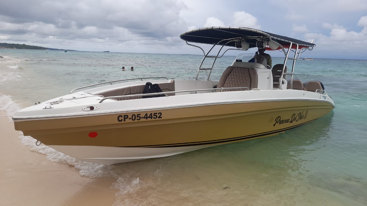 Lancha Deportiva 29ft para 10 pax - Primavera del Mar