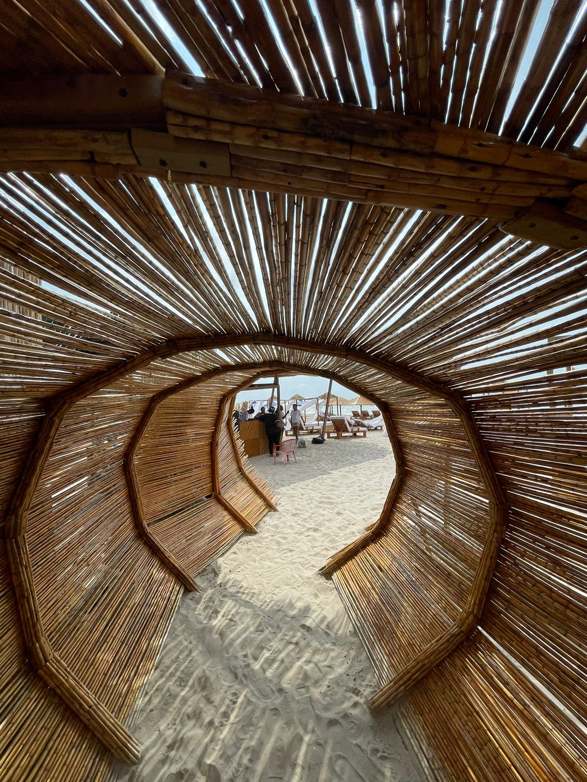 Ancestral Lounge Beach Club – Tierra Bomba Island | An exclusive day of luxury, flavor, and the Caribbean Sea