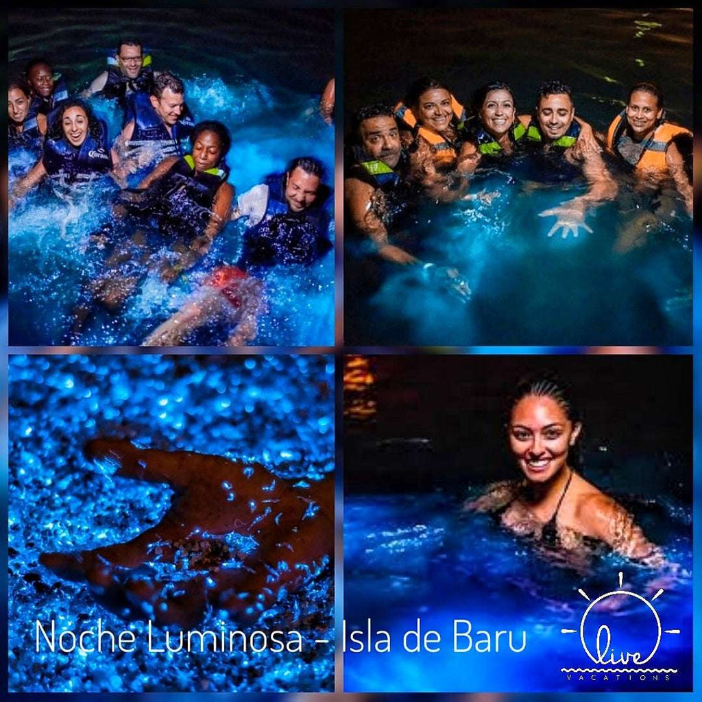 Playa Blanca + Plancton Lumínico en Isla Barú | Día completo de sol y mar