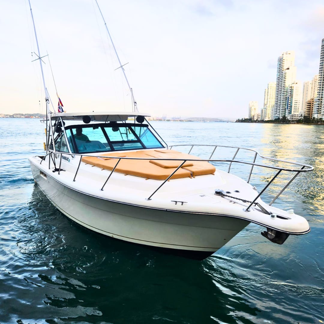 Yate Privado Tiara 31ft para 12 pax - La Lokal