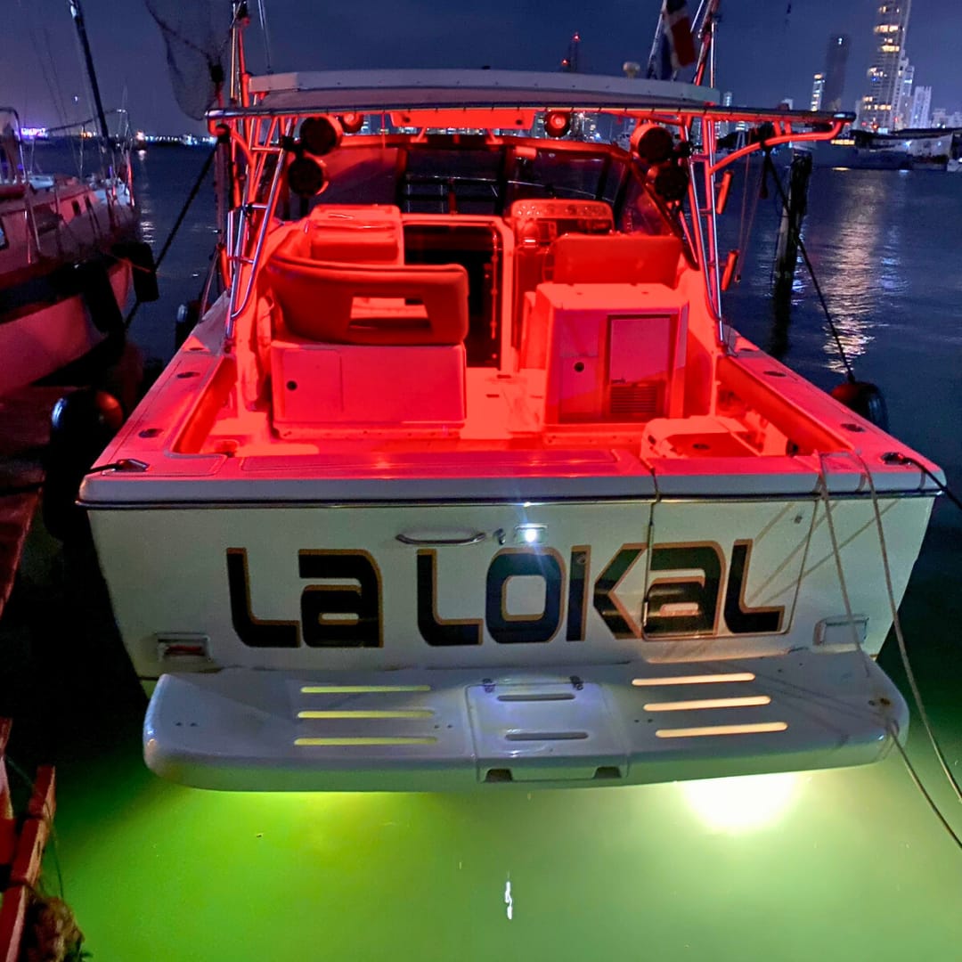 Yate Privado Tiara 31ft para 12 pax - La Lokal
