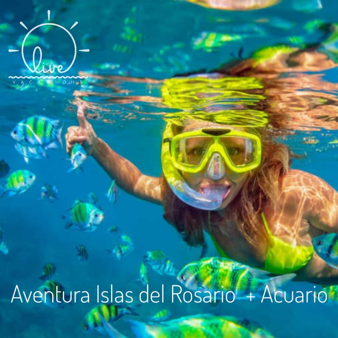 Rosario Islands Adventure – Aquarium | Nature, marine life, snorkeling, and dreamy landscapes all in one day.