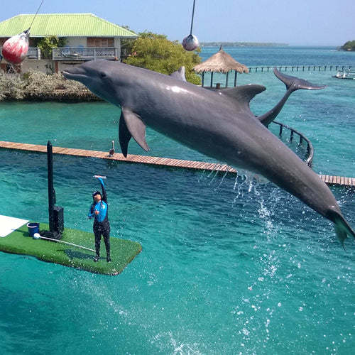Aventura Islas del Rosario y Acuario desde Cartagena