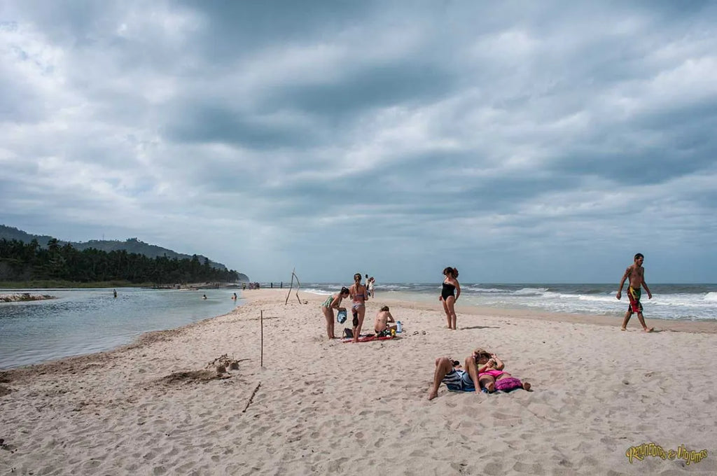 Palomino Adventure: River and Sea for an Unforgettable Nature Experience in the Caribbean