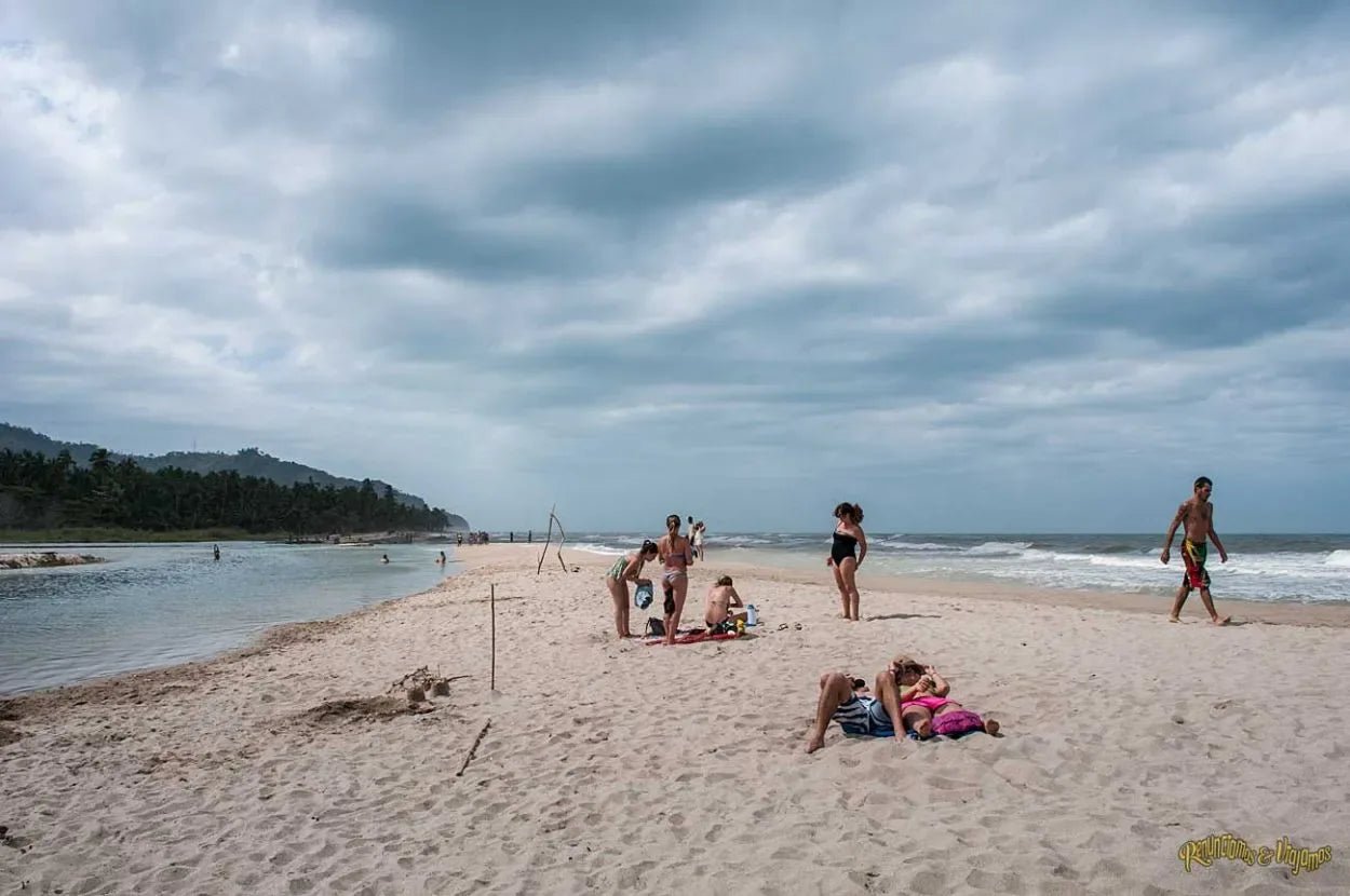 Aventura en Palomino: Río y Mar para una Experiencia Natural Inolvidable en el Caribe - Live Vacations Tours