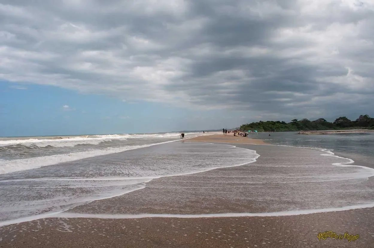 Aventura en Palomino: Río y Mar para una Experiencia Natural Inolvidable en el Caribe - Live Vacations Tours
