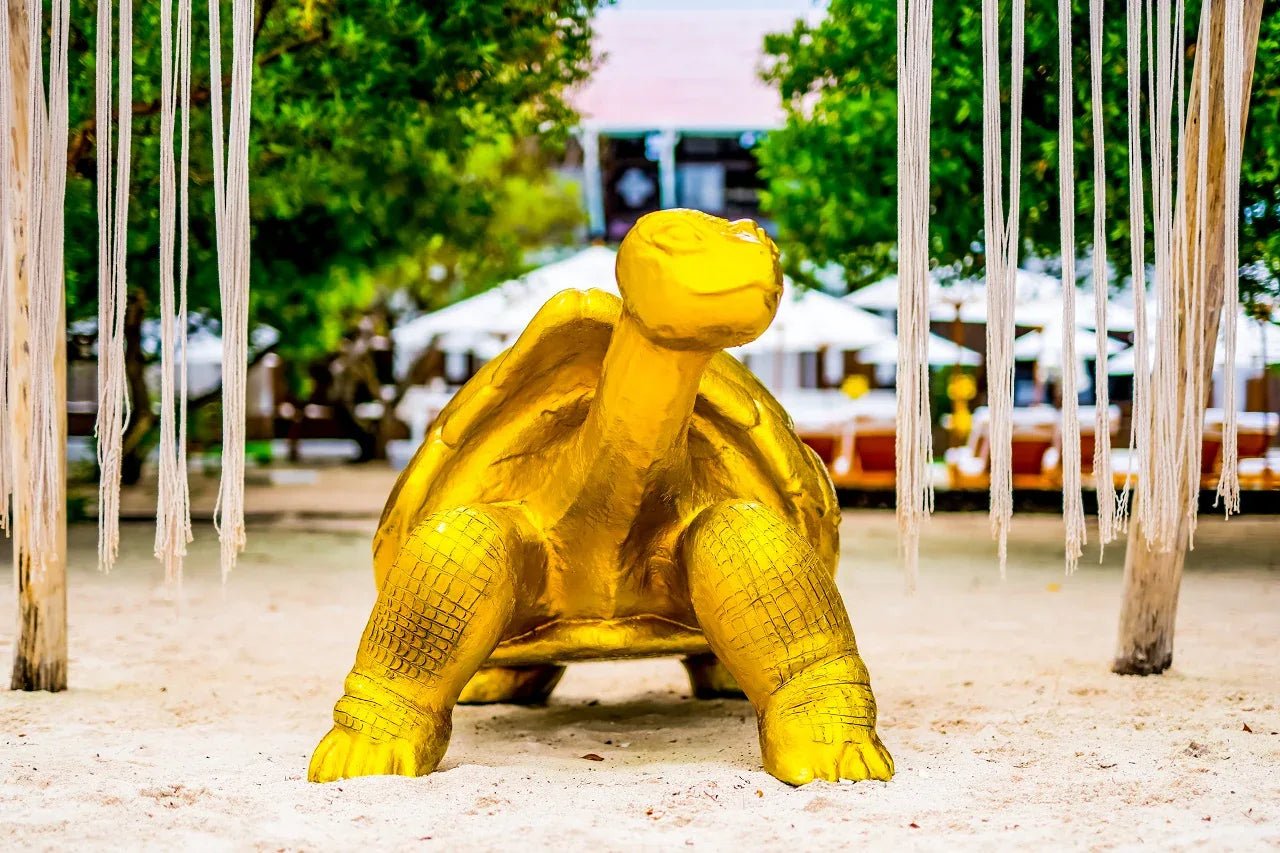 Pao Pao Beach Club - Isla del Rosario | Relájate, saborea y desconéctate en un exclusivo entorno solo para adultos.