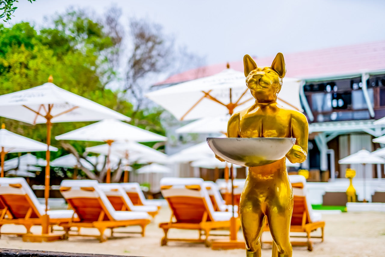Pao Pao Beach Club - Isla del Rosario | Relax, savor, and unwind in an exclusive, adults-only setting.