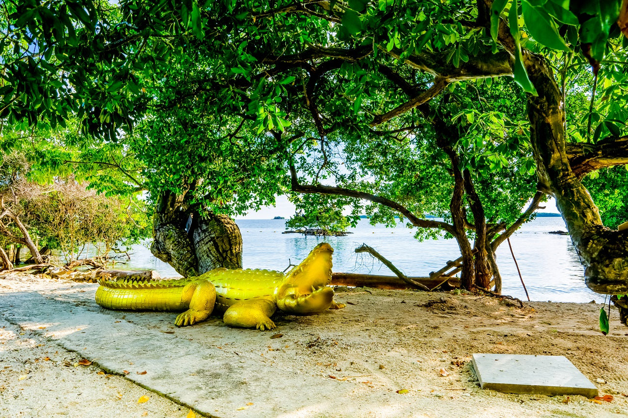 Pao Pao Beach Club - Isla del Rosario | Relax, savor, and unwind in an exclusive, adults-only setting.