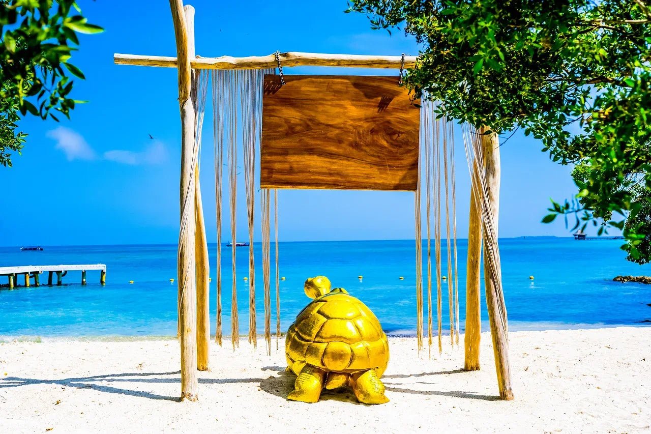 Pao Pao Beach Club - Isla del Rosario | Relájate, saborea y desconéctate en un exclusivo entorno solo para adultos.