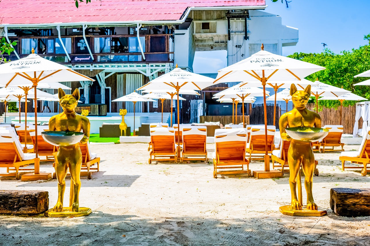 Pao Pao Beach Club - Isla del Rosario | Relax, savor, and unwind in an exclusive, adults-only setting.