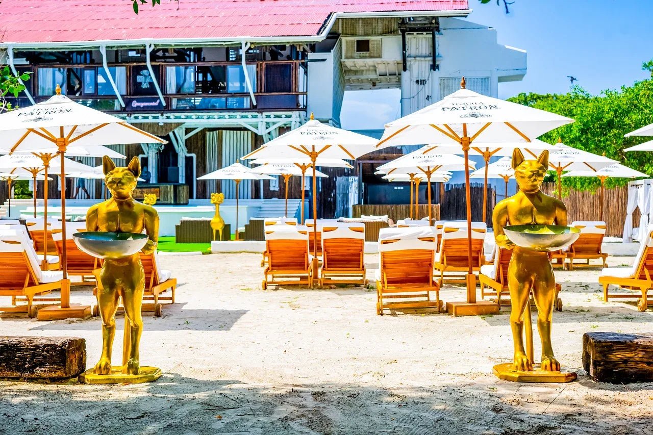 Pao Pao Beach Club - Isla del Rosario | Relájate, saborea y desconéctate en un exclusivo entorno solo para adultos.