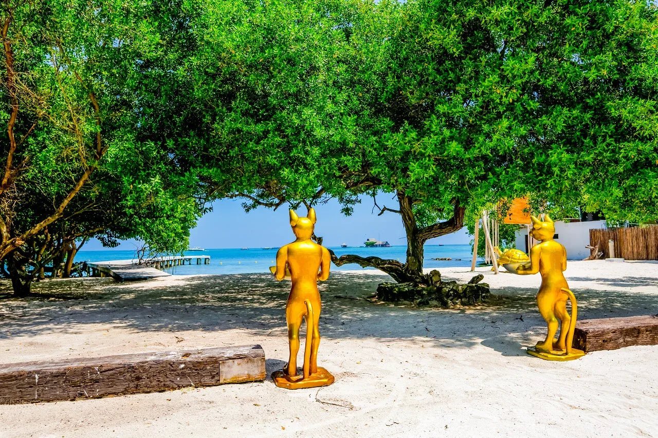 Pao Pao Beach Club - Isla del Rosario | Relájate, saborea y desconéctate en un exclusivo entorno solo para adultos.