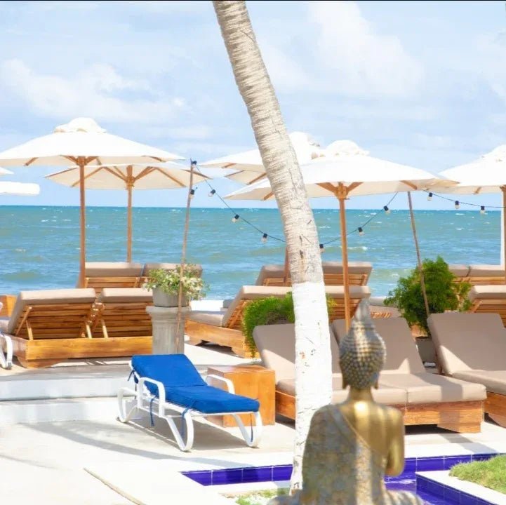 Walla Club de Playa Cartagena | gastronomía caribeña, piscina y música en vivo en Laguito - Live Vacations Tours