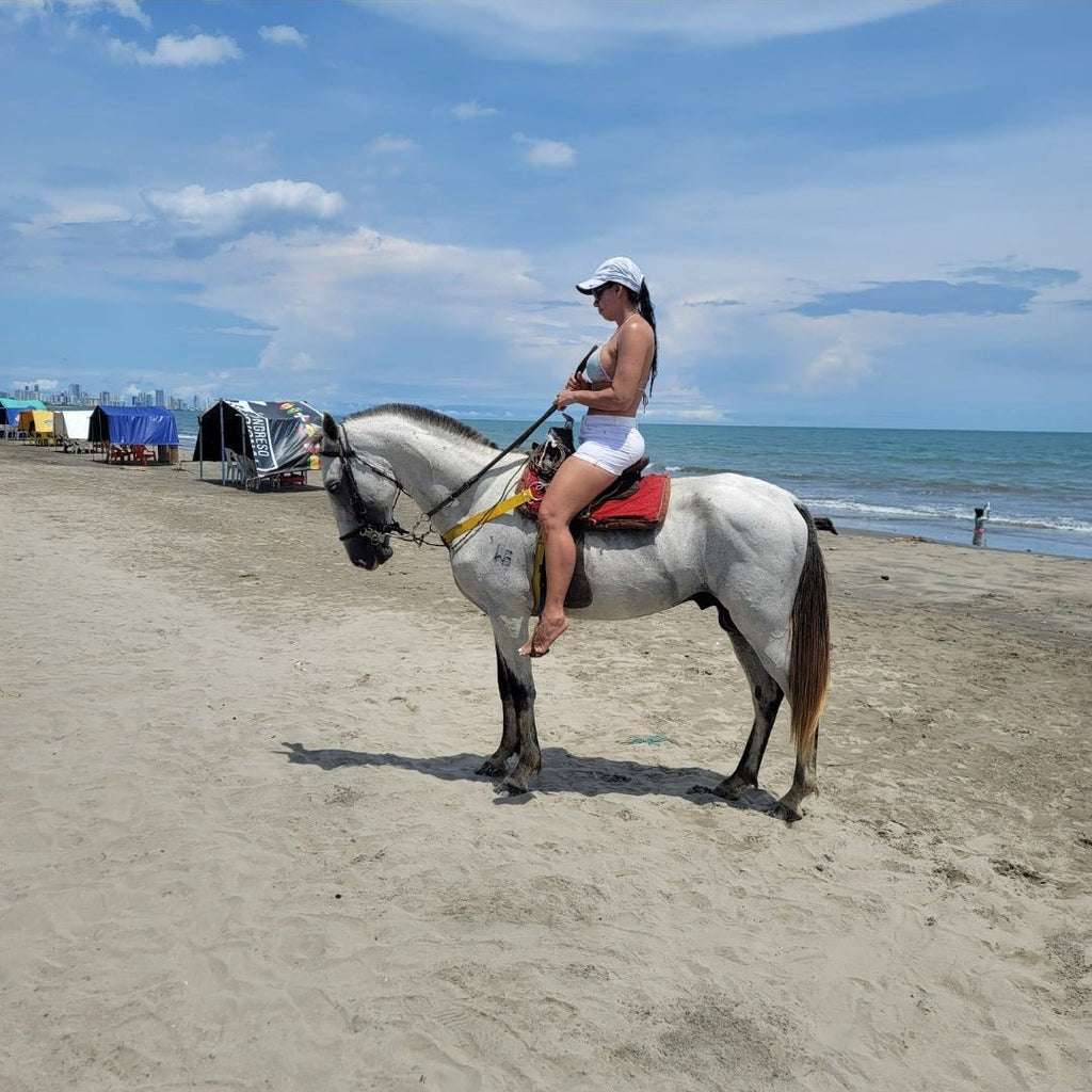 Atardecer a caballo en La Boquilla Zona Morros - Live Vacations Tours