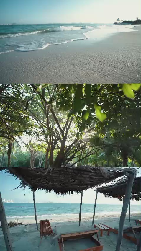Fenix Beach - Isla de Tierra Bomba |Relájate, disfruta y desconéctate