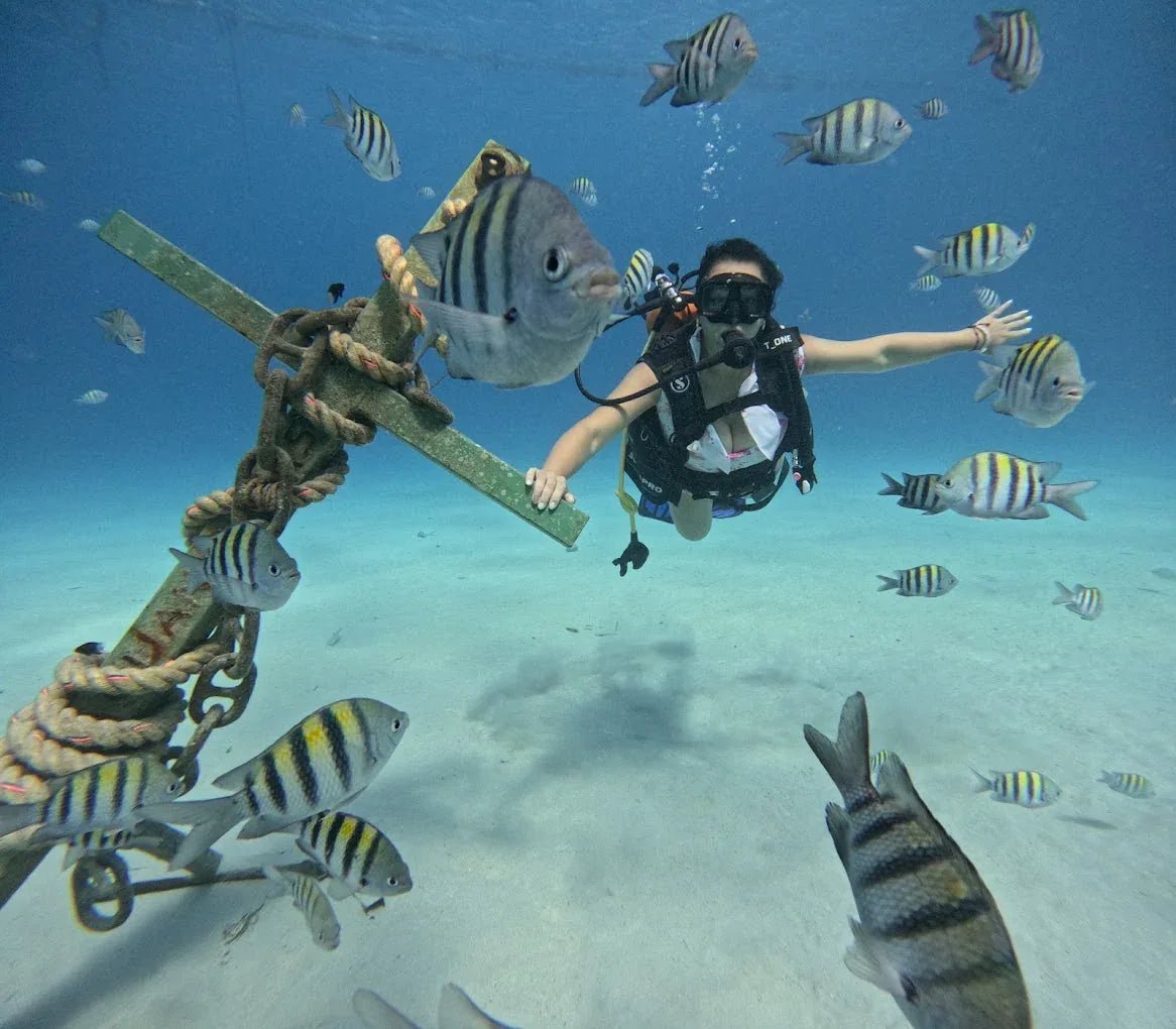 Buceo Poseidon - San Andres | Explora el mundo submarino del Caribe en una aventura guiada e inolvidable