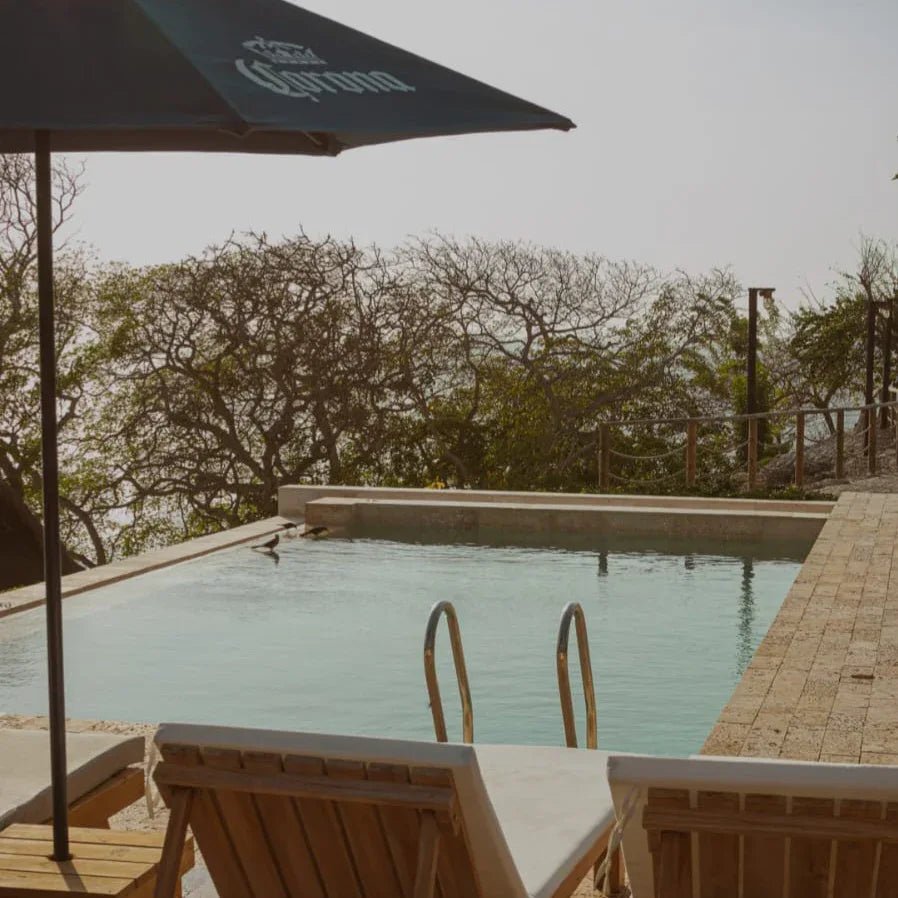 Club de Mar Tierra Bomba desde Cartagena | gastronomía de autor, transporte y playa exclusiva - Live Vacations Tours