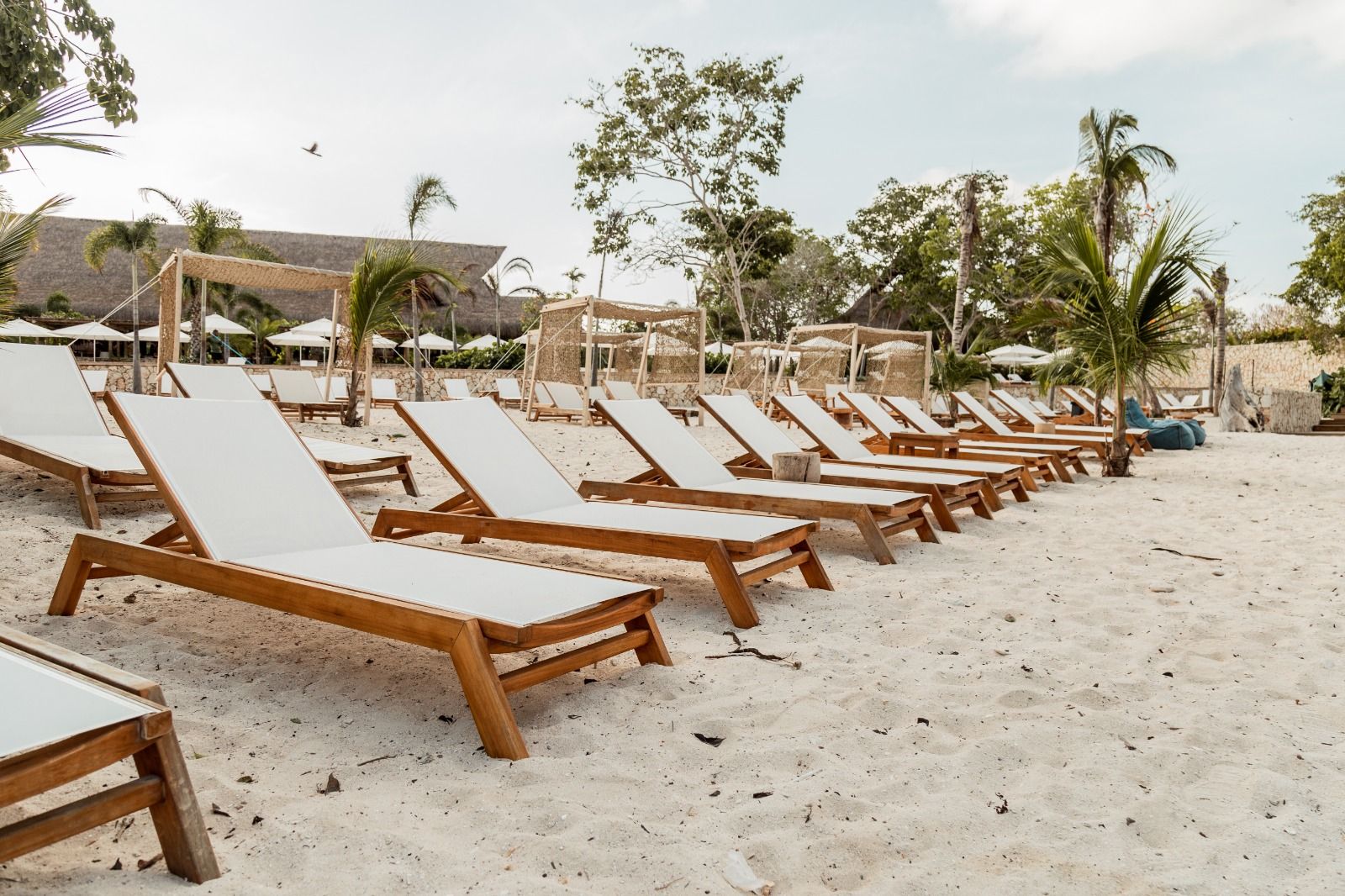 Pasadía en Makani Beach Club Cartagena: traslado, zona exclusiva y cóctel incluido