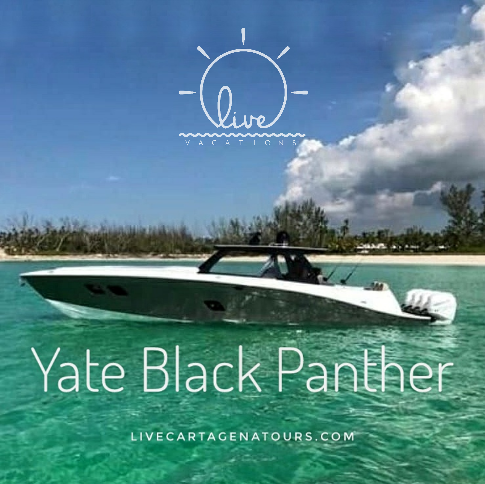 Private Yacht for 15 pax - Black Panther