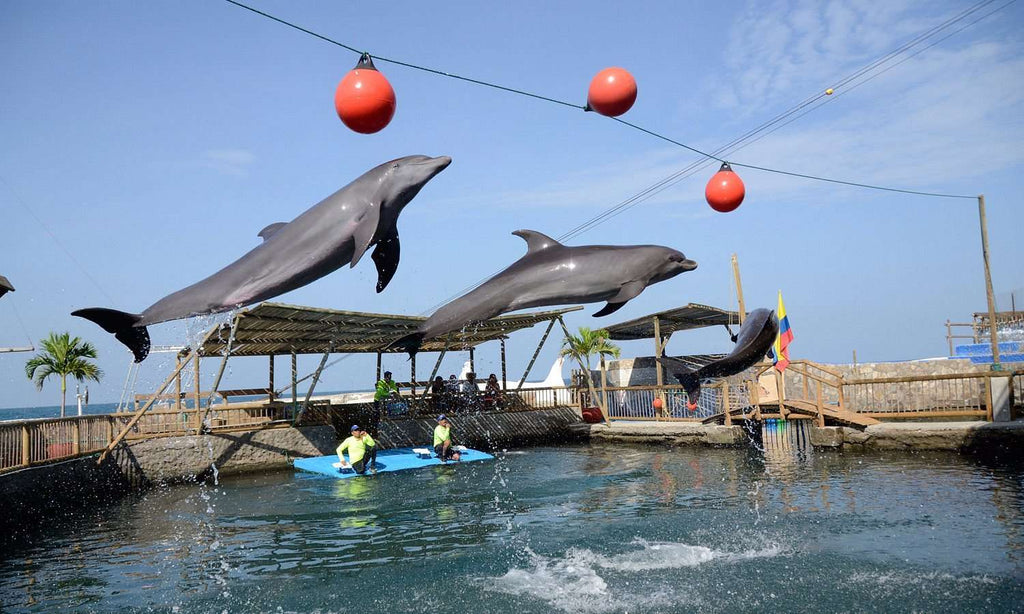 Tour Acuario - Playa Blanca - Live Vacations Tours